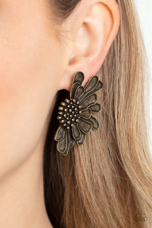 Farmstead Meadow Brass Earrings (Post Back)